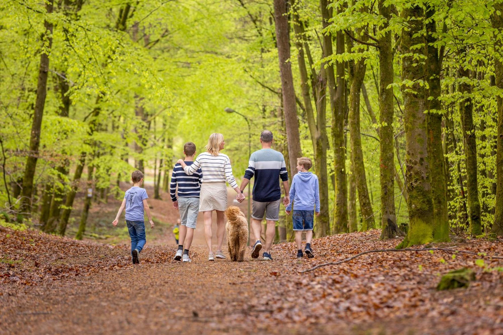 Отель Ardennen Camping Бертри Экстерьер фото